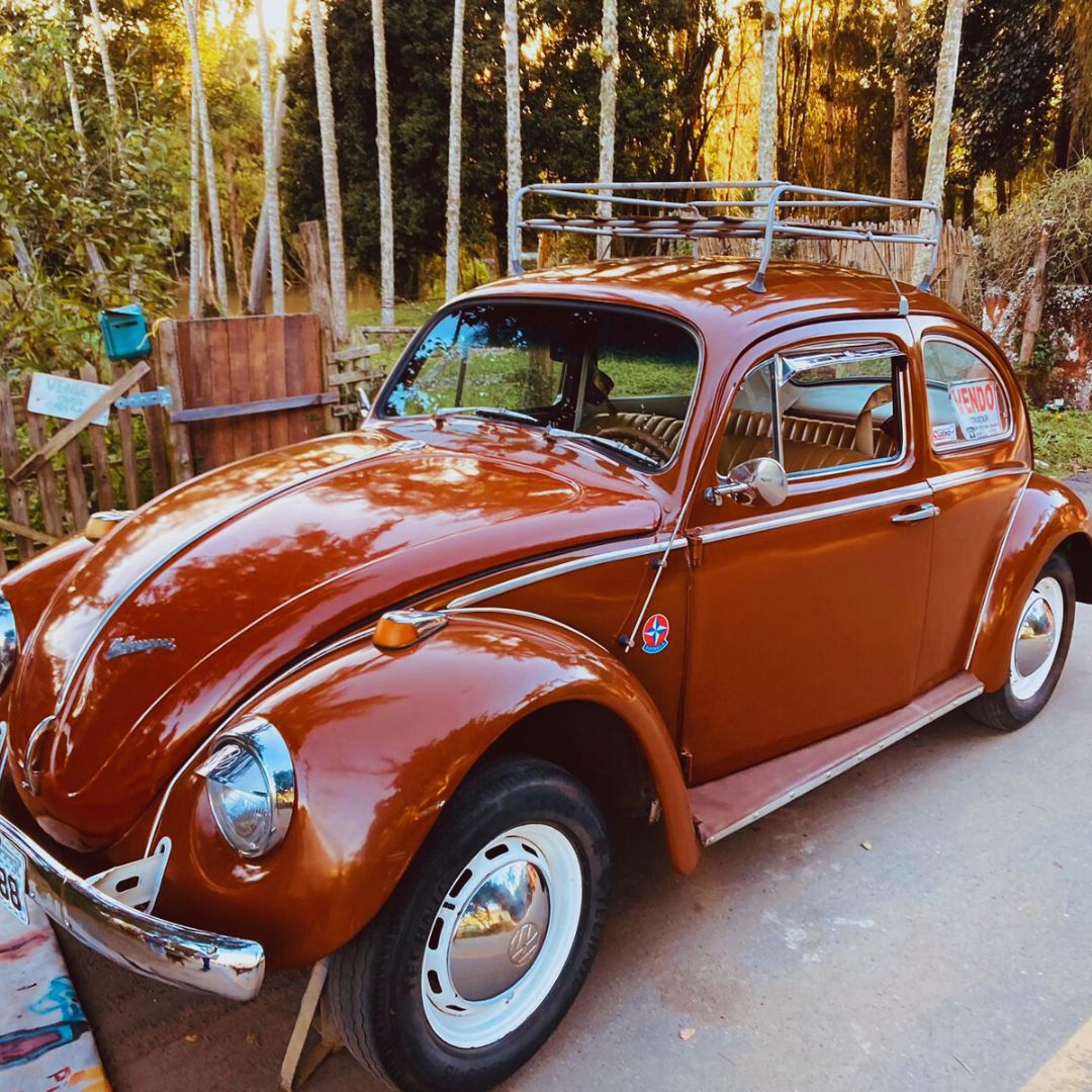 Fusca 1973 1300 (3)