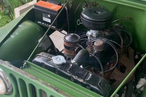 WhatsApp-Image-2023-05-24-at-15.33.311