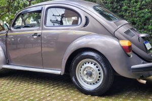 WhatsApp-Image-2023-06-29-at-19.41.282 (1)