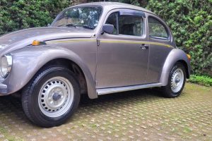 WhatsApp-Image-2023-06-29-at-19.41.283