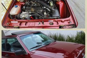 WhatsApp Image 2024-03-18 at 20.16.02 (1)